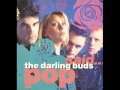 The Darling Buds - Uptight