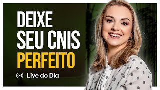 Passo a passo para deixar seu CNIS perfeito