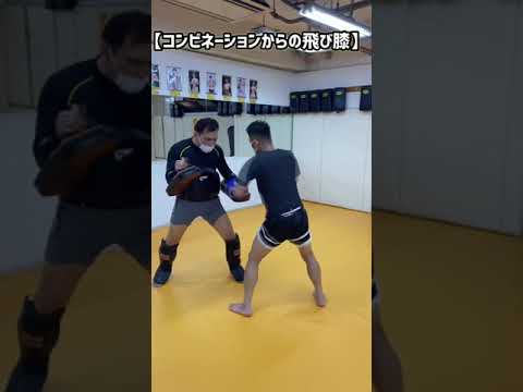 【格闘技】膝蹴りコンビネーション三選！　#shorts