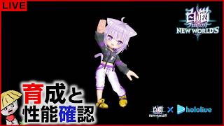 白猫【ライブ配信】ホロライブコラボ第3弾 キャラの育成＆性能確認【hololive】