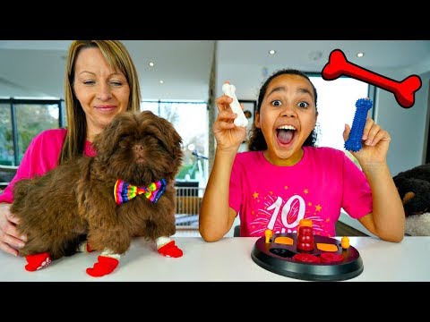 Testing Weird Dog  Gadgets With Our Puppy