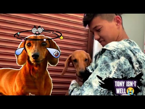 Hattrick handai tony 😭 102 degree joro le garo vayo tony lai 🙌 get well soon