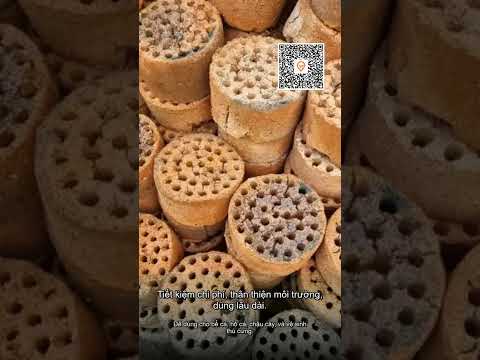 Xỉ Than Tổ Ong 10kg Siêu Lọc Nước Nuôi Vi Sinh Cây Cá Cảnh &amp; Vệ Sinh Thú Cưng Giá Rẻ 13000đ