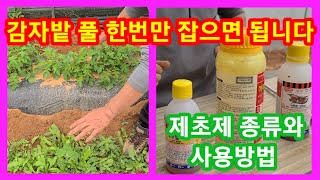 감자밭 풀 1번에 잡고 안잡으면 개판 제초제 종류와 사용방법