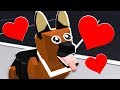 MAD CITY POLICE DOGS