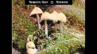 Mushroom Gods - Marajuana