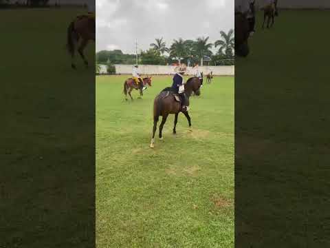 #caballos #horse #cabalgata CABALGATA VILLANUEVA BOLIVAR- COLOMBIA 2025