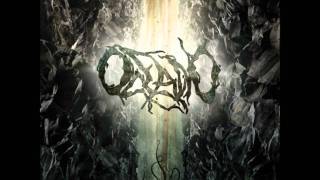 Oceano - Disgust For Your Kind (No Skip)