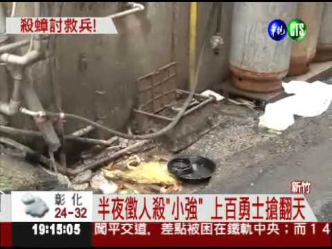 半夜徵人殺蟑螂 上百人英雄救美