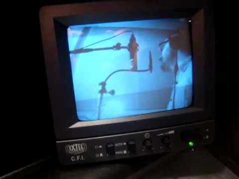 Videomind Afterparty Pt2 Recording (Paura, Clementino, Tayone)