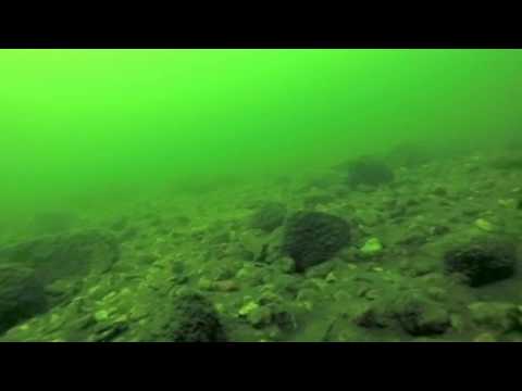 2017 02 14 Unterwasseraufnahmen beim Eisangeln