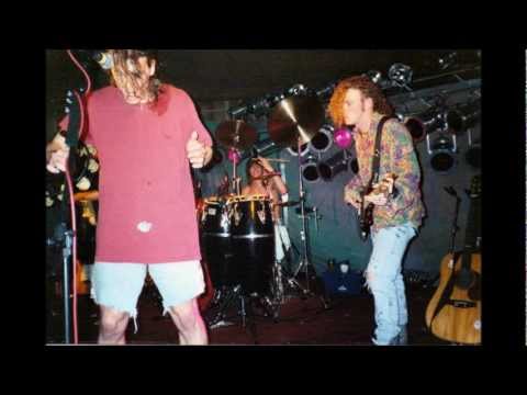 The Armadillos,  Better than you video.wmv