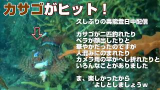 【水中カメラライブ配信】能登の海から日中配信