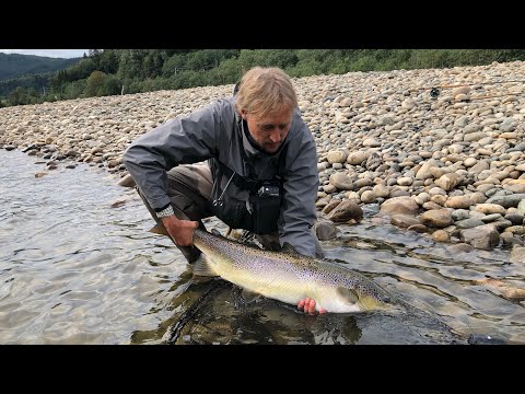 Gaula river - Salmon summer fishing