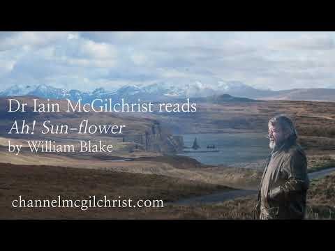 Daily Poetry Readings #262: Ah! Sun-flower by William Blake read by Dr Iain McGilchrist