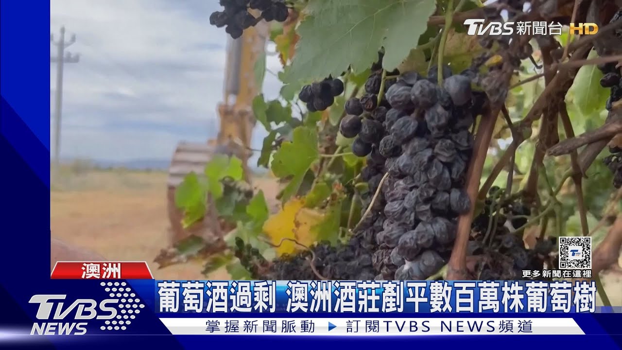 三年禁令解封！　大陸取消葡萄酒高關稅澳洲久旱逢甘霖