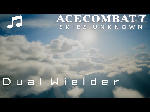 "Dual Wielder" - Ace Combat 7