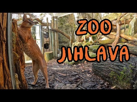 ZOO Jihlava