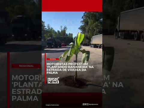 Motoristas protestam “plantando bananeira” na estrada em Várzea da Palma MG #varzeadapalma