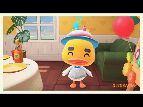 ACNH | JOEY’S BIRTHDAY! 🐥🎂🥳🥳