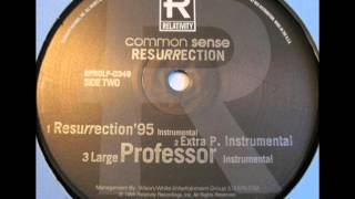 Common Sense - Resurrection (Instrumental) (1995)
