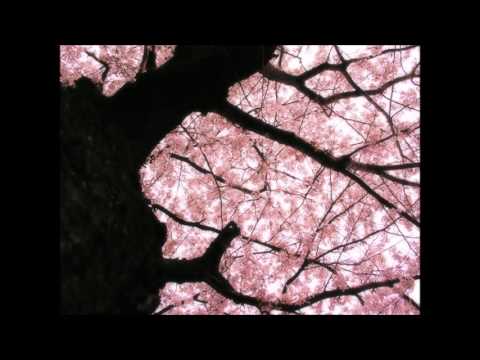 Alfred Reed: Fifth Symphony "Sakura"  【吹奏楽】
