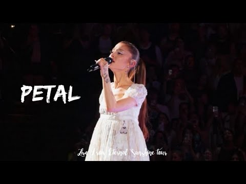 アリアナ・グランデ – PETAL (Eternal Sunshine ツアーよりライブ) (4K) (Ariana Grande presents PETAL (Live From Eternal Sunshine tour) (4k))