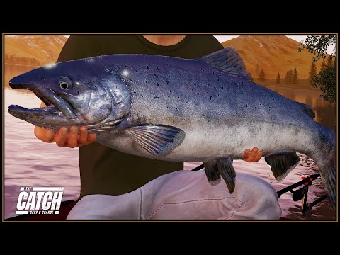 Catching A BOSS FISH - But The WRONG ONE !  The Catch Carp & Coarse