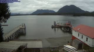 Tofino Sea Kayaking Live Harbour Cam live webcam
