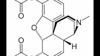 These days by The Jesus &amp; Mary Chain
