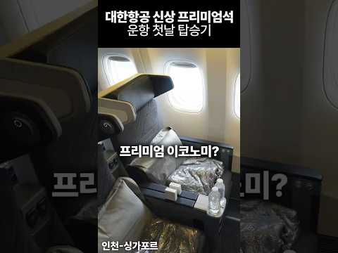 대한항공 프리미엄석: 경제적인 럭셔리 경험