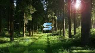 Clinton Sparks - Geronimo (Gregor Salto Remix)