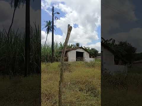 uma pequena usina abandonada na natureza itapororoca Paraíba