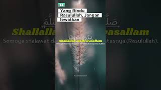 Download lagu Banyak yang Menangis Mendengar Sholawat Ini mp3