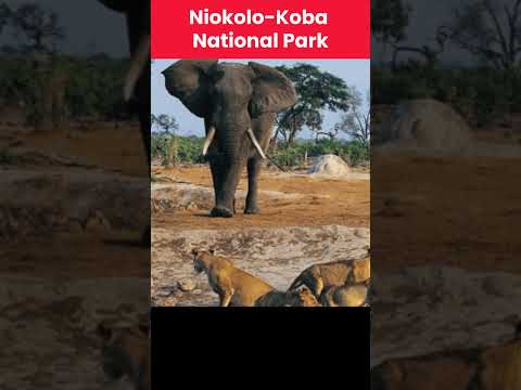 Tourist Destinations in Senegal