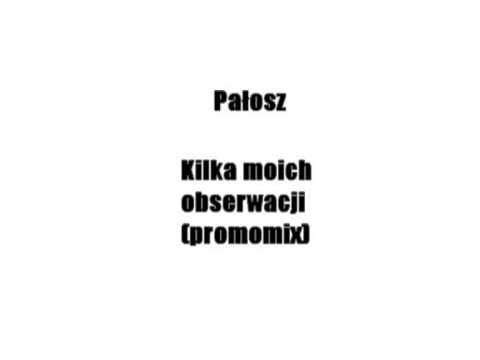 Pałosz - Kilka Moich Obserwacji (promomix)
