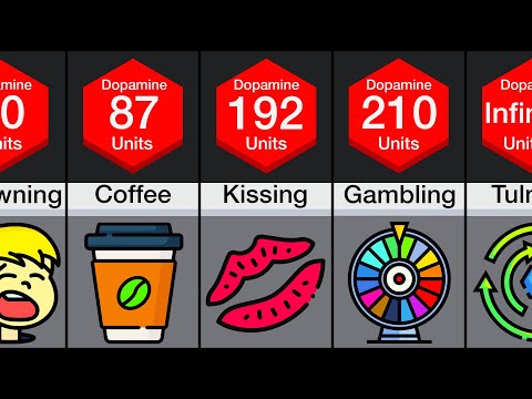 Comparison: Human Pleasure