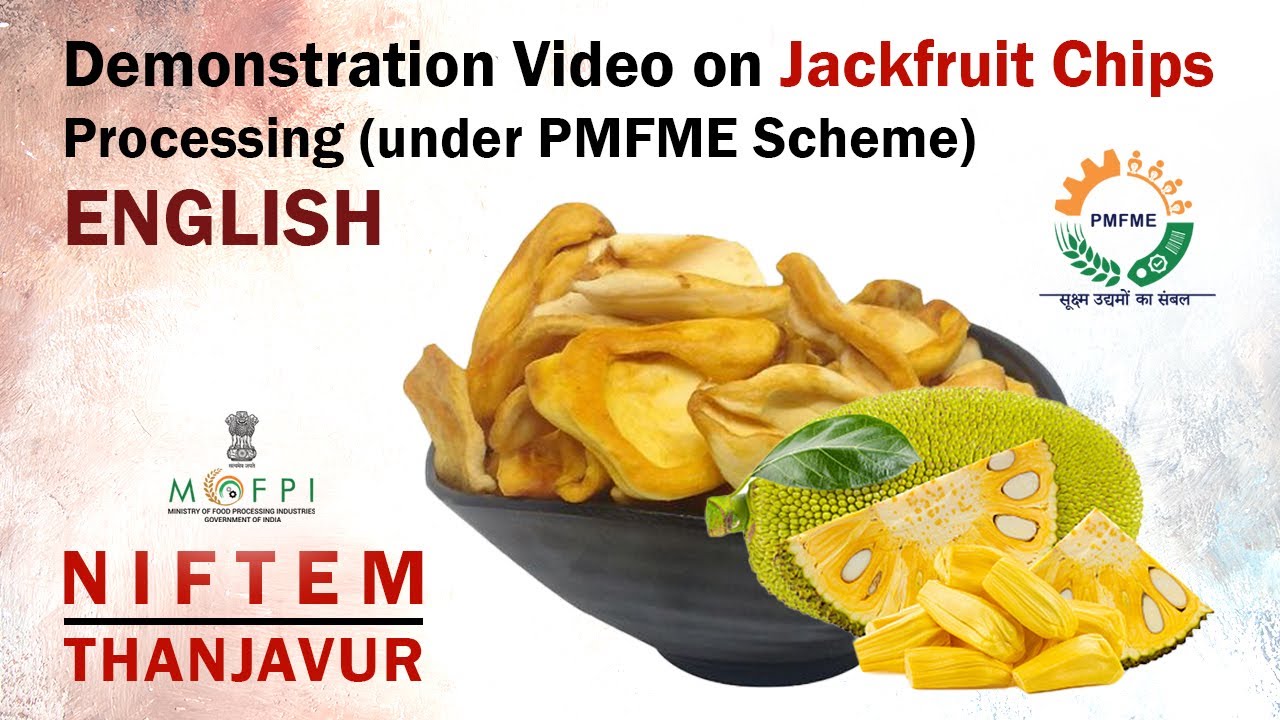 Demonstration Video on Jackfruit Chips Processing (under PMFME Scheme) - English