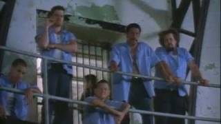 Animal Factory (2000) Video