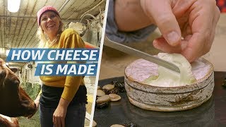 How Cheese Is Made — How to Make It