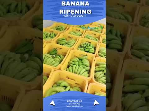 Banana Ripening Chamber