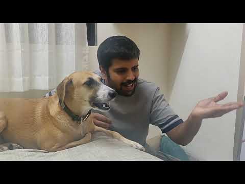 Man and Dog sing together. Bitch Perfect || Raag Bhaokaar featuring Zoe.