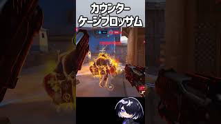 【OW】領域の中で放つ不可避のデスブロッサム #shorts  #overwatch #overwatch2