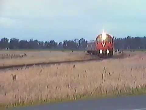 V/Line passenger train at Rosedale - Longford Road. 1990s
