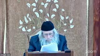 הגה"ח הרב מענדל וועכטר שליט"א- י"ד טבת תשפ"ה מאמר בעניין התפילה (הרב אברהם מנחם מענדל וכטר) - התמונה מוצגת ישירות מתוך אתר האינטרנט יוטיוב. זכויות היוצרים בתמונה שייכות ליוצרה. קישור קרדיט למקור התוכן נמצא בתוך דף הסרטון