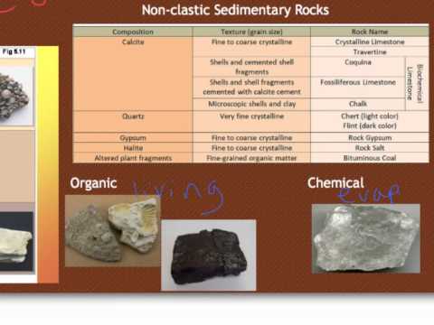 Earth Science Review: Rocks