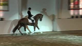 Video von Springbank II VH