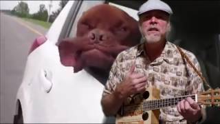 Me And You And A Dog Named Boo, Lobo, cover, 273rd season of the ukulele, dogs