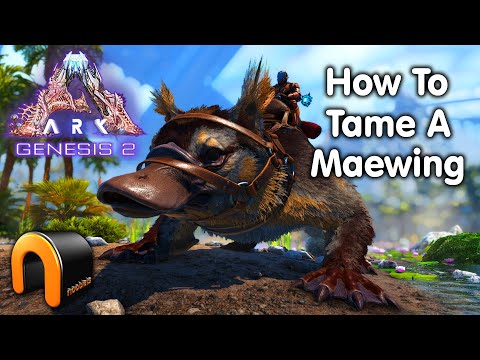 Steam Community Video Ark Genesis 2 How To Tame A Maewing Ark