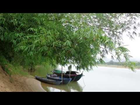 Tháng sáu con về Sheet - Nguyễn Quang